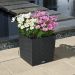 Lechuza CUBE Cottage 40 zelfwaterende plantenbak graniet