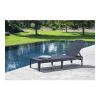 Allibert Jaipur ligstoel grafiet 4 standen 187,5 cm