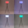 Lumisky Tamboury C150 wireless RGB floor lamp