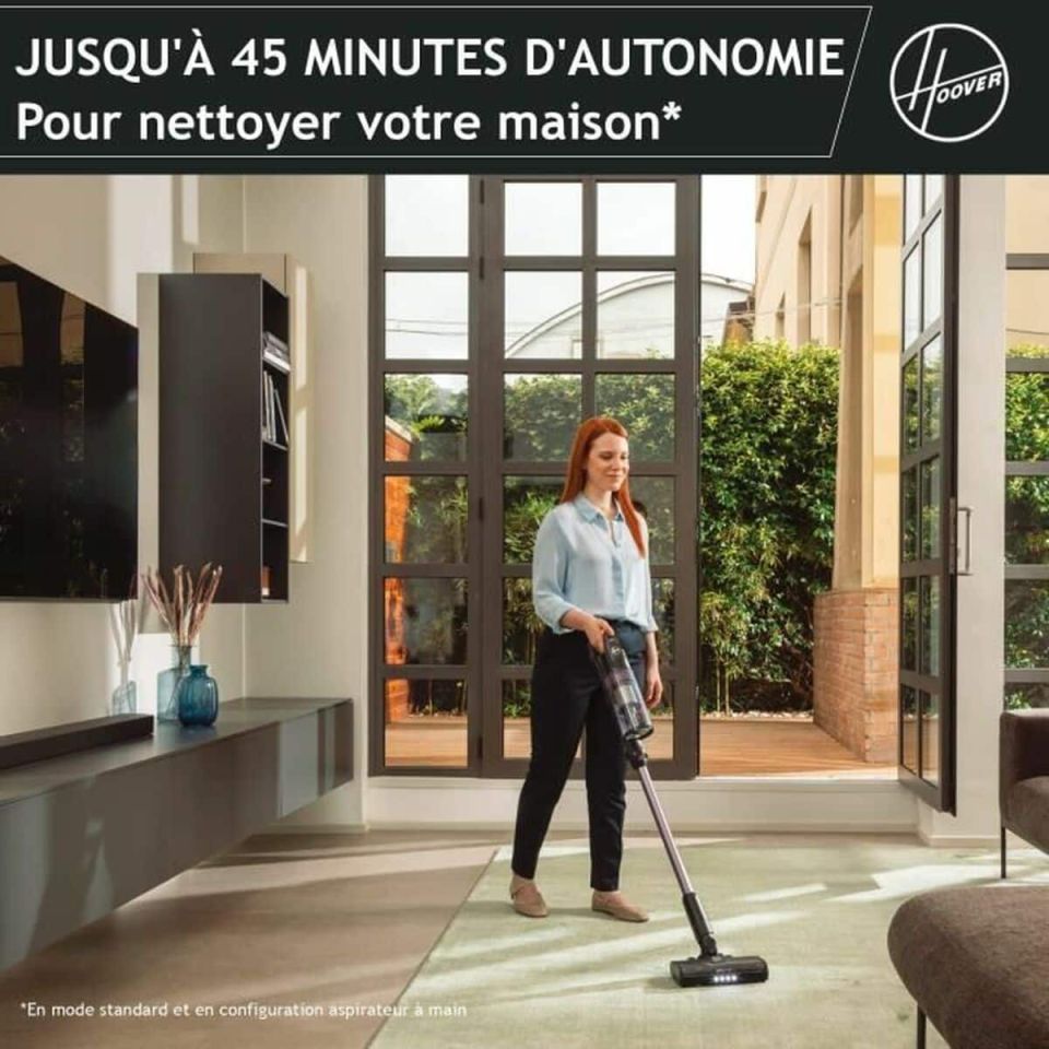 Hoover HF1P10H 011 HF1 Plus steelstofzuiger zwart/paars