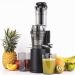 H.Koenig GSX16 slowjuicer 0,8L 250W zwart RVS