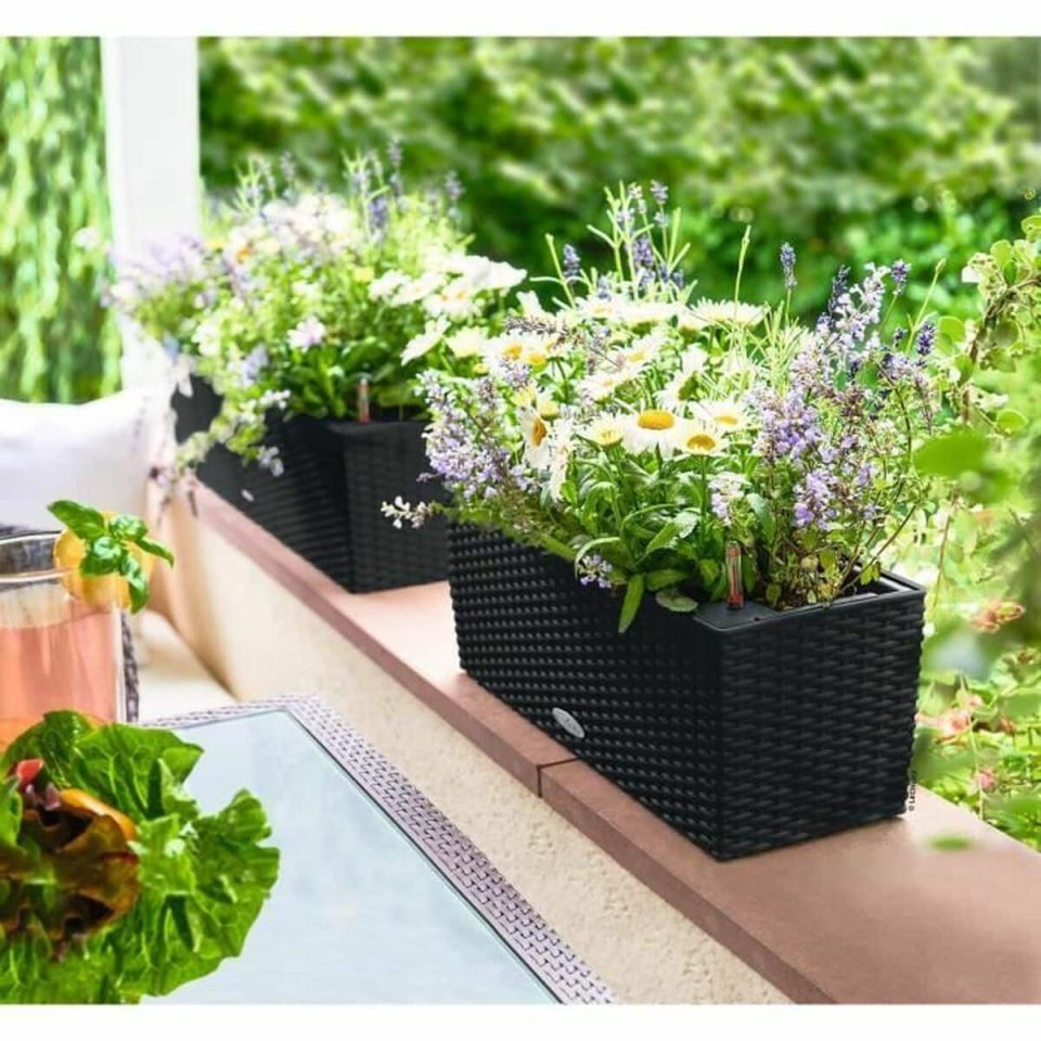 Lechuza Balconera Cottage 50 balkonbak zwart 8L