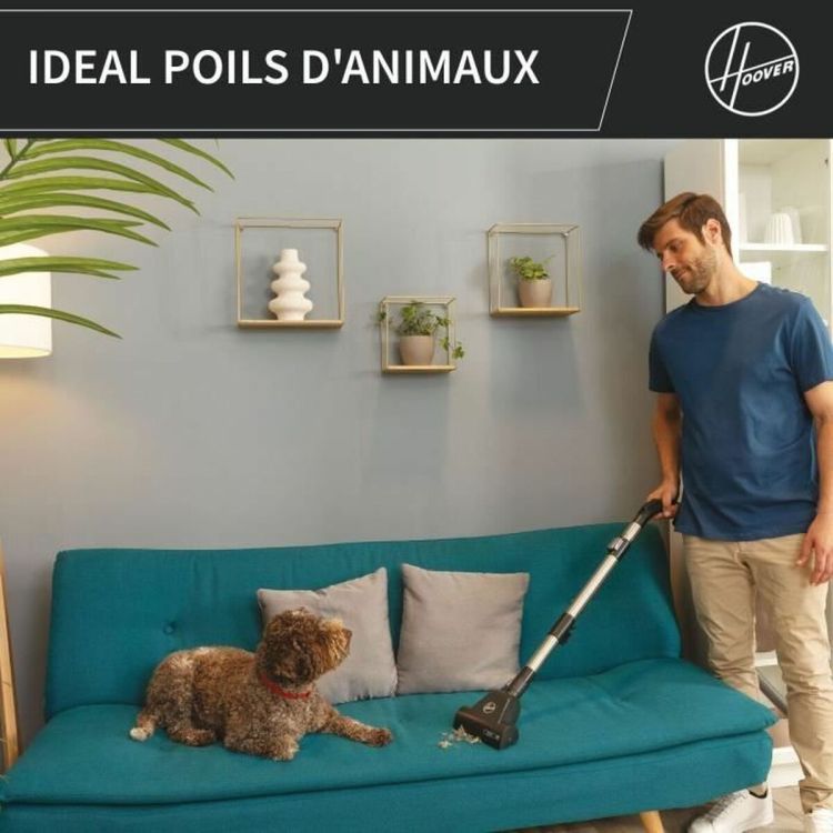 Hoover HP321PAF stofzuiger 850W zwart/grijs