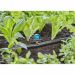 Gardena Micro-Drip 6-in-1 sproeier 13 mm 2 stuks