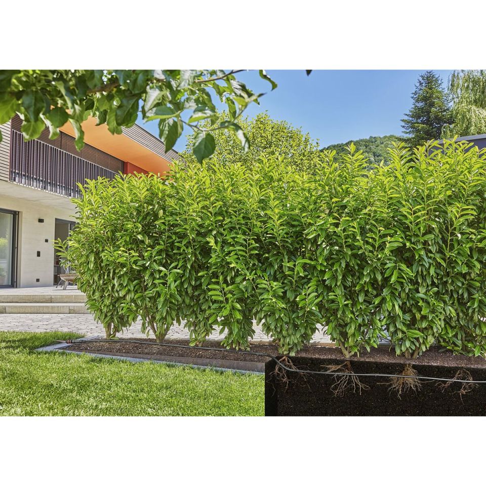 Gardena Micro-Drip Hedge/Shrub Set, 50 m, 13 mm