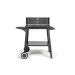 Livoo DOC328 charcoal barbecue with adjustable height