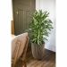 Capi Europe Vaas Elegant Laag Groove NL zwart/goud Ø46 x H58 cm 66L