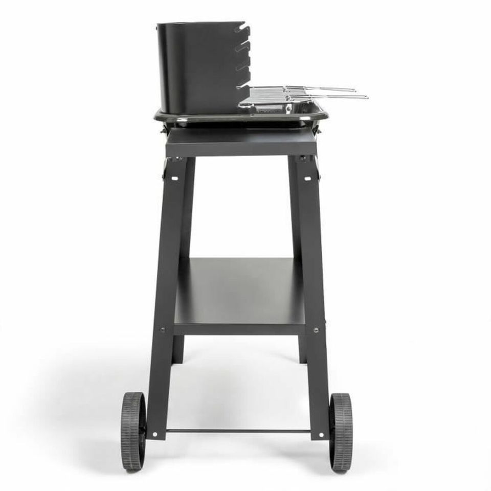 Livoo DOC328 charcoal barbecue with adjustable height