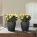 LECHUZA CLASSICO Color 28 planter slate gray
