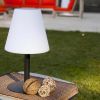 Lumisky Standy Mini Solar RGB LED tafellamp wit IP44